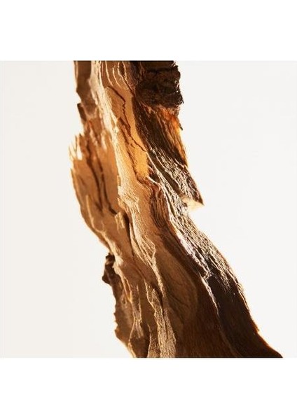 Parco Palladiano Xıı Quercia Edp 100 ml Unisex Parfüm fırsatları