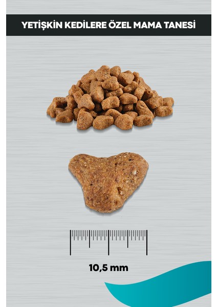 Signature Somonlu Kısırlaştırılmış Kedi 10 kg indirimleri