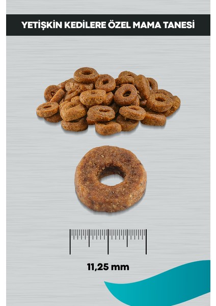 Signature Tavuklu Yetişkin Kedi 10 kg indirimleri