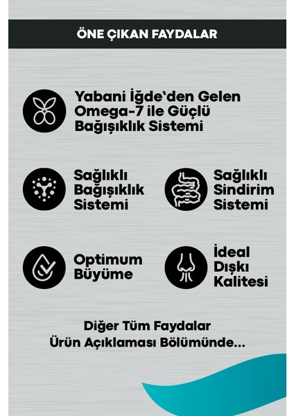 Signature Tavuklu Yavru Kedi Maması 10 kg fiyatları