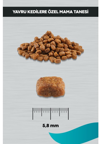 Signature Tavuklu Yavru Kedi Maması 10 kg indirimleri