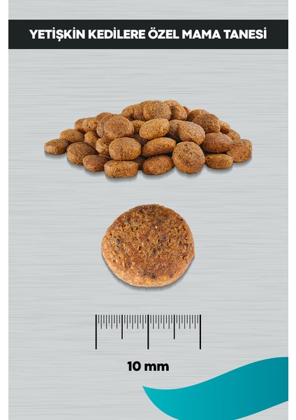 Signature Tavuklu Kısırlaştırılmış Kedi 10 kg indirimleri