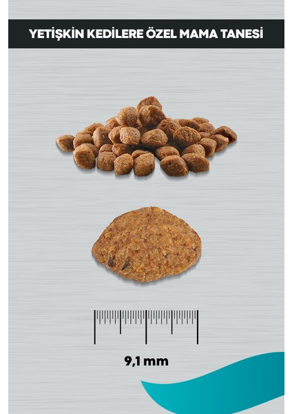 Signature Somonlu Yetişkin Kedi-Tüy Yum. Önl. 10 kg indirimleri