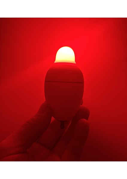 Ithal Işıklı Şamandıra fırsatları