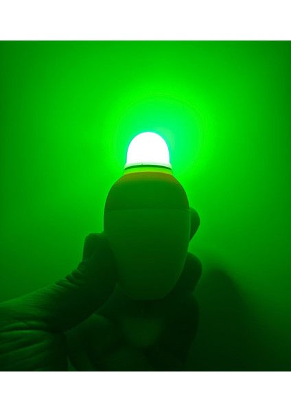 Ithal Işıklı Şamandıra indirimleri