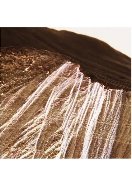 Parco Palladiano Xı Castagno Edp 100 ml Unisex Parfüm modelleri