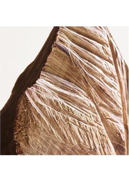 Parco Palladiano Xı Castagno Edp 100 ml Unisex Parfüm fırsatları