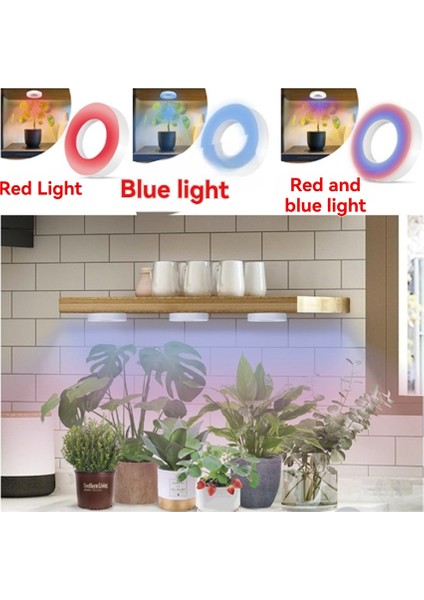 Tam Spektrumlu LED Büyüme Işığı Kırmızı ve Mavi Işık 4 Adet (Yurt Dışından) fiyatları