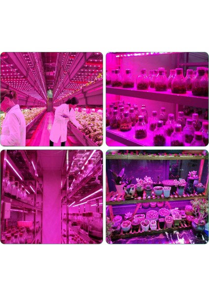 LED Büyüme Işığı Tam Spektrum 5V USB Büyüme Işığı Şeridi 2835 LED Bitki Lambaları Bitkiler Için Sera Hidroponik Yetiştirme 100CM (Yurt Dışından) fırsatları