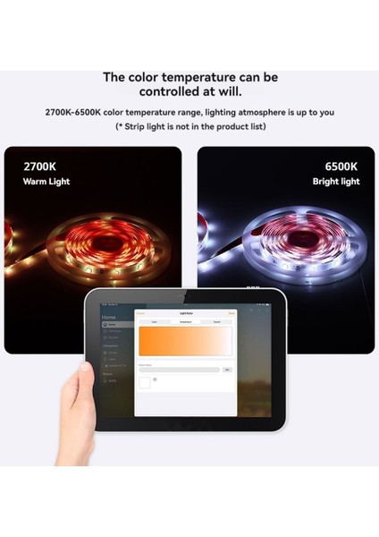 Matter Wifi LED Şerit Işık Kontrol Cihazı Cw Kontrol Cihazı LED Şerit Bixb/siri/google Home/alexa Kontrol Desteği (Yurt Dışından) modelleri
