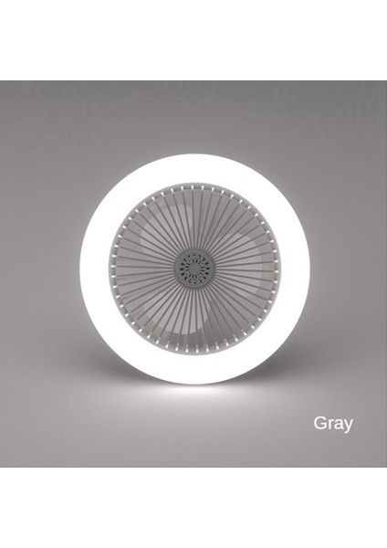 Uzaktan Kumandalı 2x Tavan Fanı ve 30W LED Lamba Fanı Akıllı Sessiz Tavan Fanı E27 Dönüştürücü Taban Gri (Yurt Dışından) modelleri