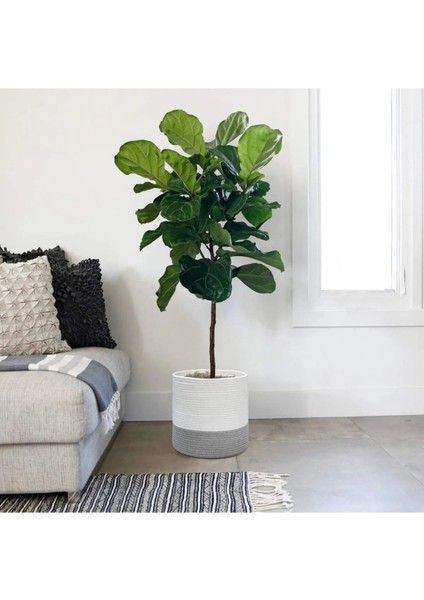 Dekoratif Jüt Hasır Saksılık Havluluk Organizer 25X25 cm