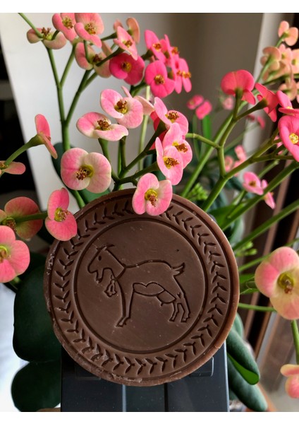 5 Adet Zeytinli Keçi Çiftliği Keçi Sütlü Vanilya Sabunu (Saf Zeytinyağlı & %100 Doğal) fiyatları