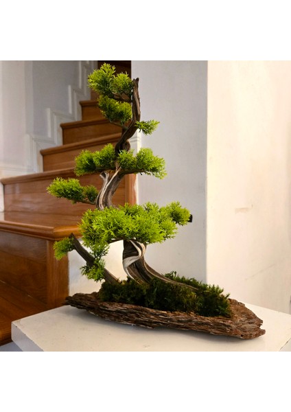 El Yapımı Bonsai Dekoru – Doğal Ağaç Kabuğu Tabanlı, Gerçek Yosunlu Yeşil Masa Üstü Ağaç