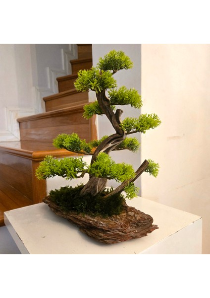 El Yapımı Bonsai Dekoru – Doğal Ağaç Kabuğu Tabanlı, Gerçek Yosunlu Yeşil Masa Üstü Ağaç fiyatları