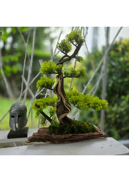 El Yapımı Bonsai Dekoru – Doğal Ağaç Kabuğu Tabanlı, Gerçek Yosunlu Yeşil Masa Üstü Ağaç modelleri
