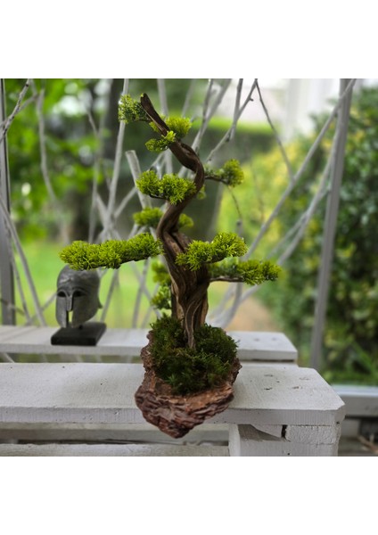 El Yapımı Bonsai Dekoru – Doğal Ağaç Kabuğu Tabanlı, Gerçek Yosunlu Yeşil Masa Üstü Ağaç fırsatları