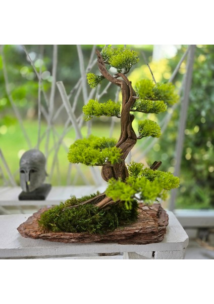 El Yapımı Bonsai Dekoru – Doğal Ağaç Kabuğu Tabanlı, Gerçek Yosunlu Yeşil Masa Üstü Ağaç indirimleri