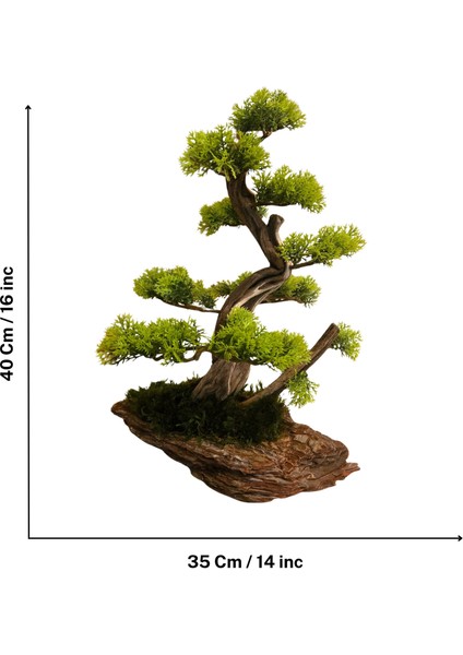 El Yapımı Bonsai Dekoru – Doğal Ağaç Kabuğu Tabanlı, Gerçek Yosunlu Yeşil Masa Üstü Ağaç