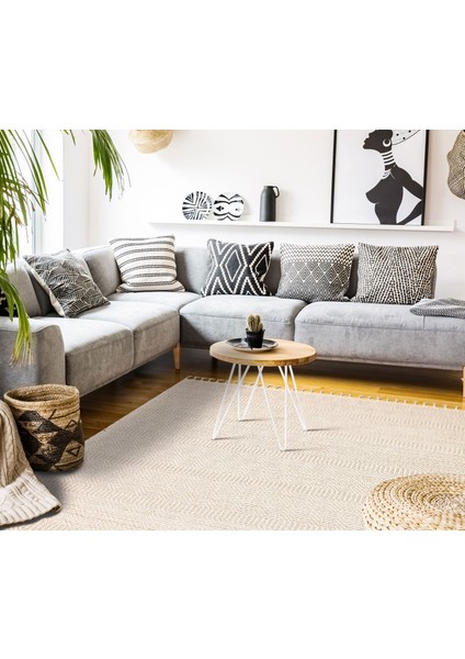 Lion 01 Beıge Hasır Dokulu Bukle Dokumasıyla Hav Toz Vermez Modern Makine Halısı indirimleri