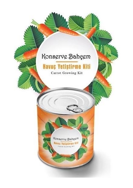 buffer® konserve bahçem evde konservede havuç yetiştirme büyütme kiti