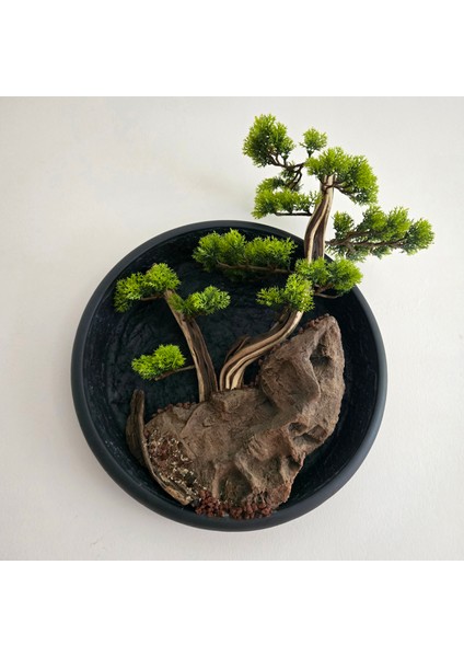 El Yapımı Driftwood Bonsai – Yeşil Şoklanmış Yosunlu Duvar Dekoru-Tablosu