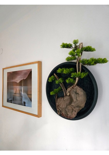El Yapımı Driftwood Bonsai – Yeşil Şoklanmış Yosunlu Duvar Dekoru-Tablosu fiyatları