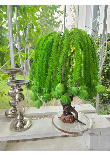 El Yapımı Salkım Söğüt Bonsai Ağaç – Doğal Ağaç Gövdesi, Epoksi Tabanlı Yapay Dekoratif Ağaç, Yeşil Tasarım Masaüstü Ev Ofis Süsü fiyatları