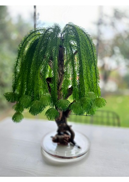 El Yapımı Salkım Söğüt Bonsai Ağaç – Doğal Ağaç Gövdesi, Epoksi Tabanlı Yapay Dekoratif Ağaç, Yeşil Tasarım Masaüstü Ev Ofis Süsü modelleri