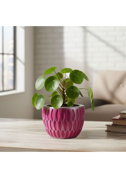 7212 El Yapımı Dünya ve Özgün Tasarım Dekoratif Saksı fırsatları