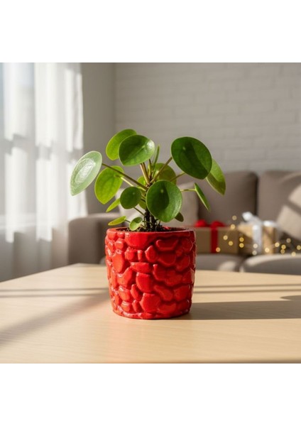 0696 El Yapımı Taş Motifli Kırmızı ve Koyu Yeşil 2'li Dekor Saksısı- 6 x 7 cm indirimleri