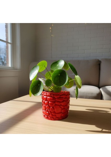 0655 El Yapımı Taş Motifli Simli Kırmızı ve Yeşil 2'li Dekor Saksısı - 6 x 7 cm