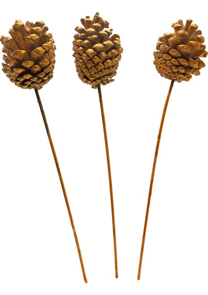 3lü Altın Kozalak Çubuklu fiyatları