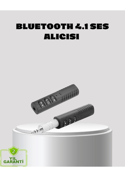 Sptrns Kablosuz Bluetooth Ses Adaptörü 4.1 Teknolojili ve 10M Menzilli