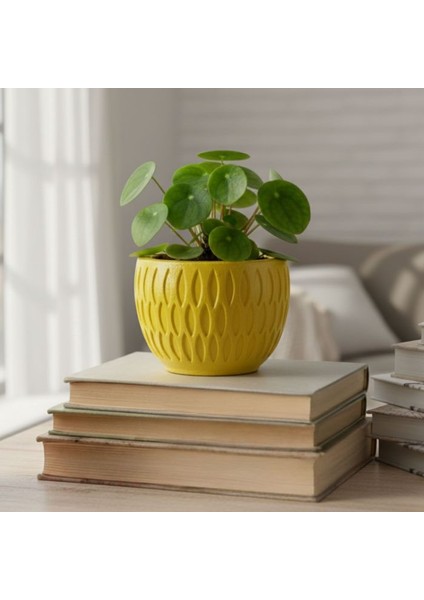 4846 El Yapımı Desenli Dekoratif 2'li Minik Saksı / Biblo - 6 x 7 cm fırsatları