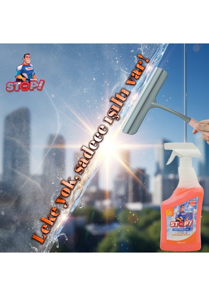 3'lü Cam Temizleyici Sprey 750 ml fiyatları