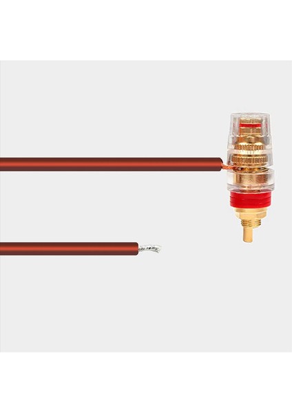 2x Xlr Hoparlör Kablosu Hoparlör Teli - Xlr Tapa Altın Kaplama Xlr 3 Pin Erkek Konnektörü Değiştirme Ses Kablosu (Yurt Dışından) fırsatları