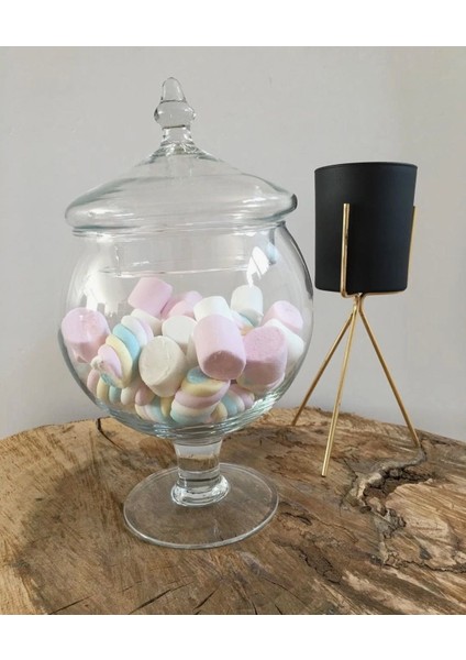 Cam Kapaklı Ayaklı Kurabiyelik ve Şekerlik ve Drajelik modelleri