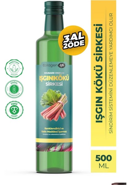 Işkın Kökü Sirkesi Rhubarb Vınegar 500 ml - Doğal Fermantasyon