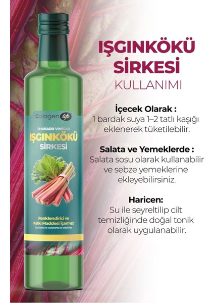 Işkın Kökü Sirkesi Rhubarb Vınegar 500 ml - Doğal Fermantasyon fırsatları