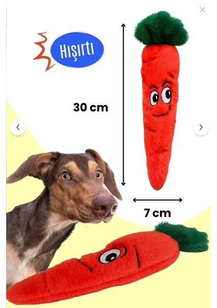 Köpek Oyuncağı Beyaz Tavşan & Ince Havuç Peluş Köpek Oyuncak Seti 2’li fiyatları