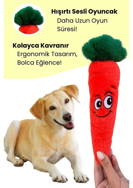 Köpek Oyuncağı Beyaz Tavşan & Ince Havuç Peluş Köpek Oyuncak Seti 2’li