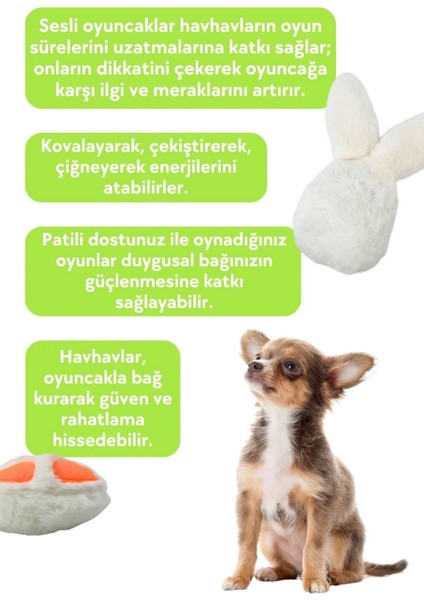 Köpek Oyuncağı Beyaz Tavşan & Ince Havuç Peluş Köpek Oyuncak Seti 2’li