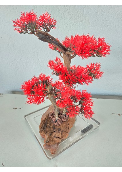 El Yapımı Kare Epoksi Tabanlı Bonsai Dekor – Doğal Ağaç Modeli (Yeşil/kırmızı/turuncu) modelleri
