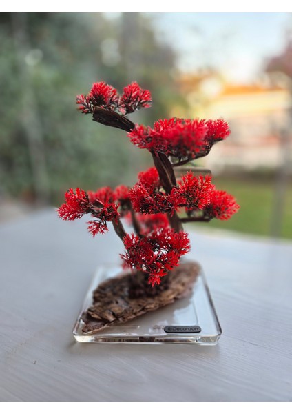 El Yapımı Kare Epoksi Tabanlı Bonsai Dekor – Doğal Ağaç Modeli (Yeşil/kırmızı/turuncu) fırsatları
