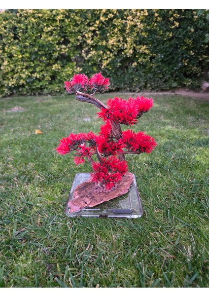 El Yapımı Kare Epoksi Tabanlı Bonsai Dekor – Doğal Ağaç Modeli (Yeşil/kırmızı/turuncu) indirimleri