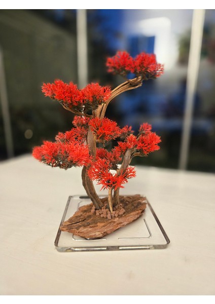 El Yapımı Kare Epoksi Tabanlı Bonsai Dekor – Doğal Ağaç Modeli (Yeşil/kırmızı/turuncu)