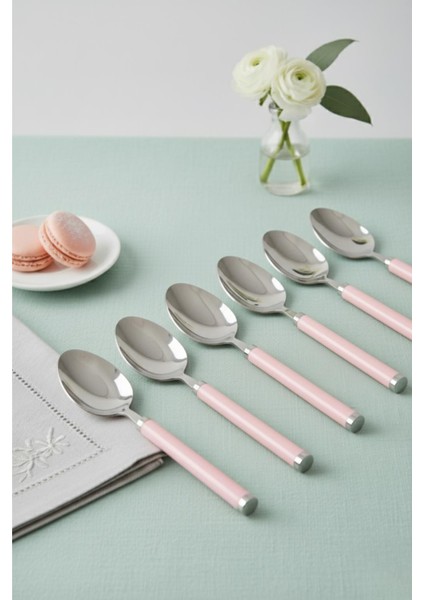 6’lı Paslanmaz Çelik Tatlı Kaşığı Seti Somon Pembe Saplı 15 cm