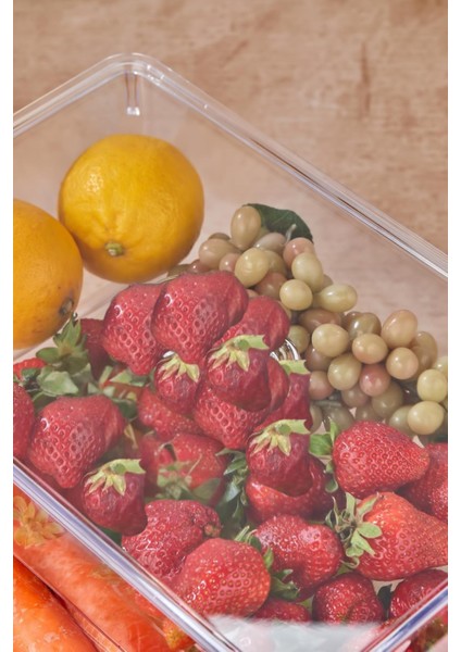 3 Lü Kapaklı Buzdolabı Organizeri & Buzdolabı Düzenleyici 3 Lt fiyatları