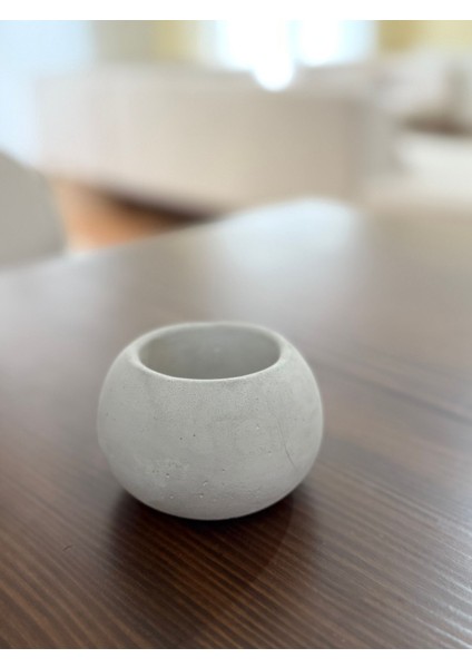 Sukulent Saksısı Boyanabilir